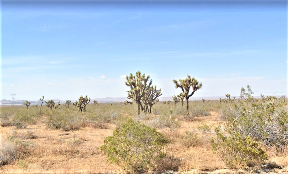 2.54-acre Piece of Raw Land just 22 miles off Palmdale, CA!